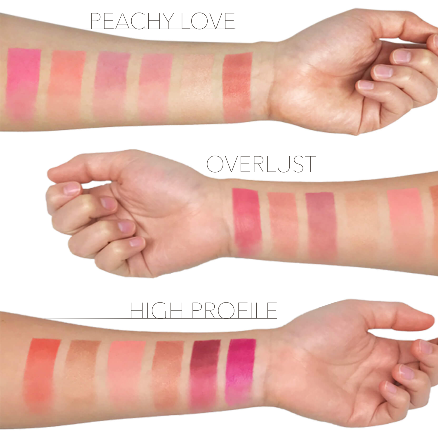 Blush and Cheek Palette swatches.