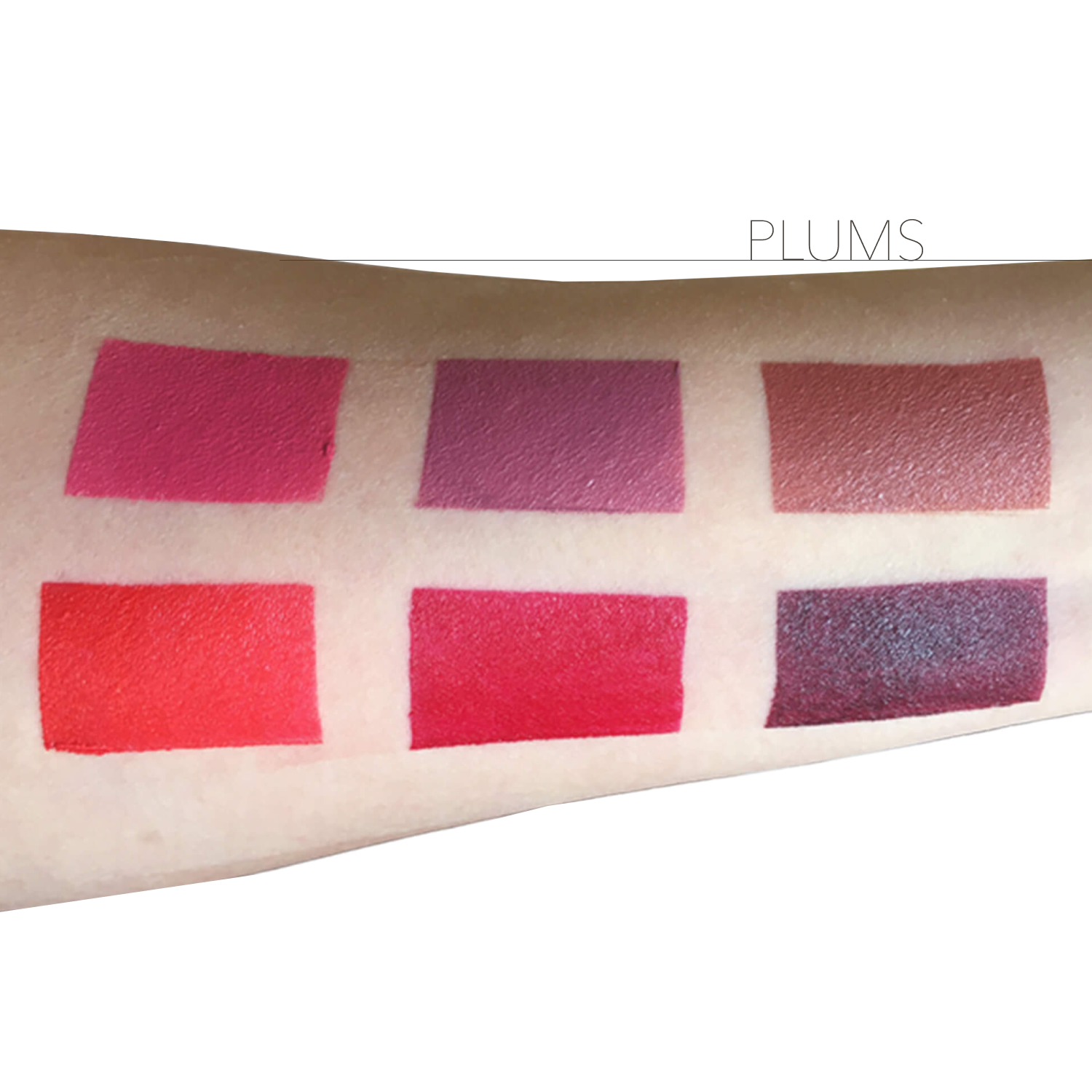 Plums Professional Lip Palette.
